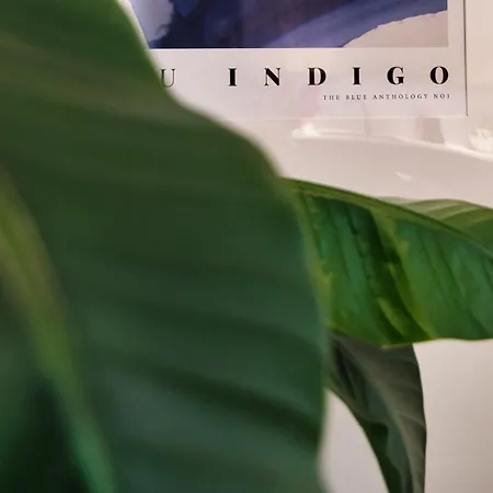 Apartment Indigo 11 By Housine *